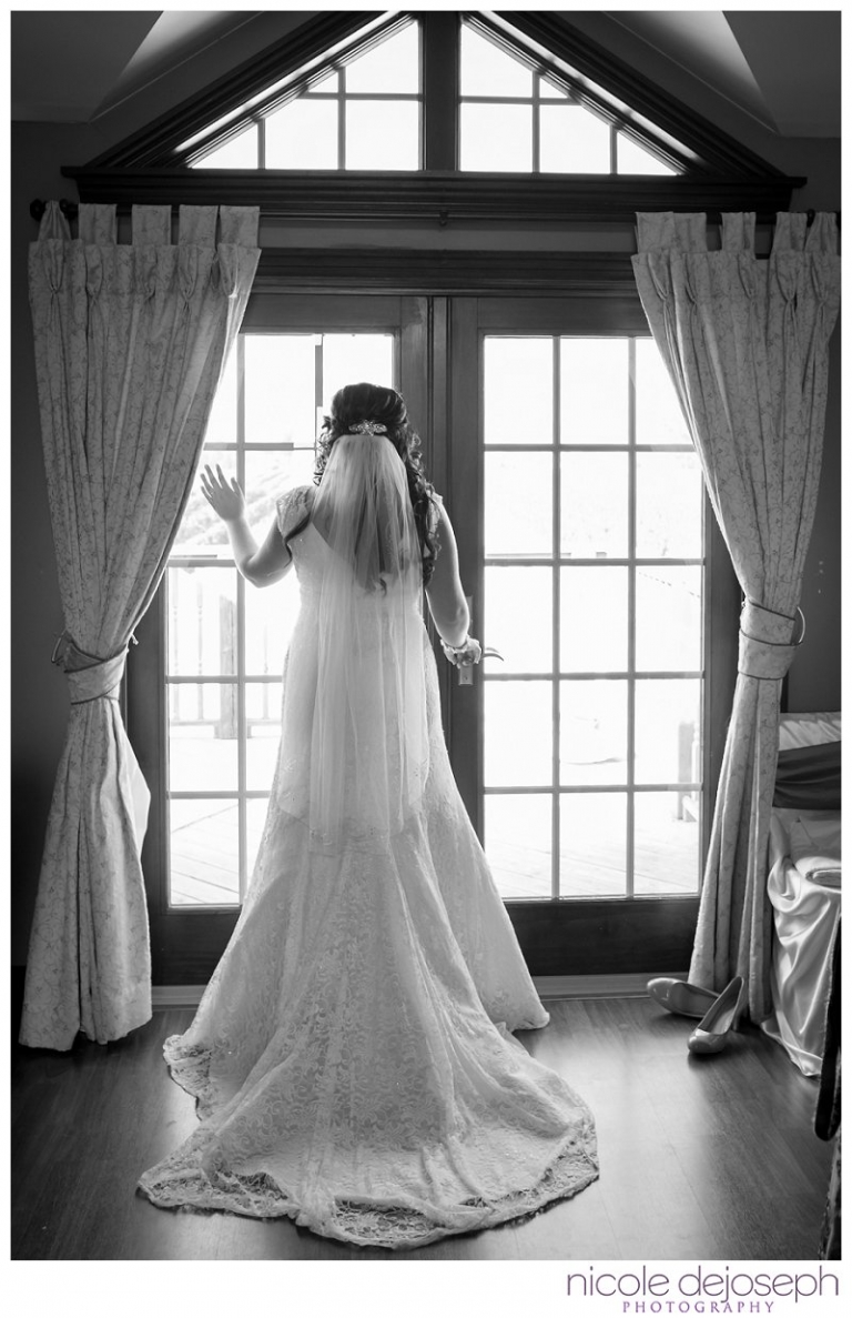 Windsor Wedding Photographers | Nicole DeJoseph Photography | Chatham ...