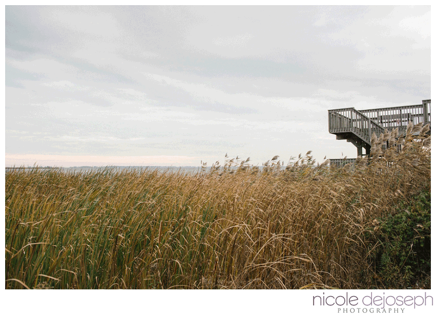 Nicole-DeJoseph-Photography_GIF
