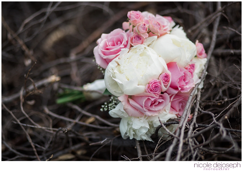 Nicole DeJoseph Photography_1762