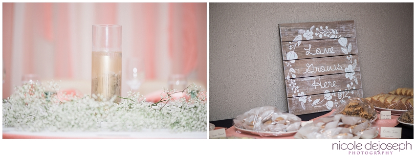 Nicole DeJoseph Photography_2206